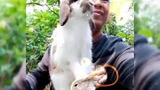 Nilo Caingat TV