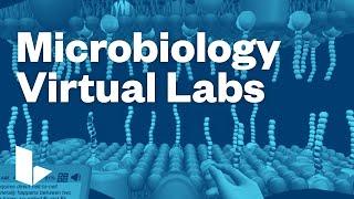 Labster Microbiology Virtual Labs