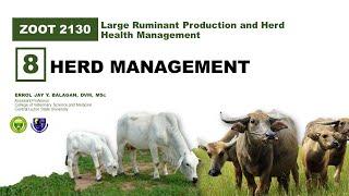 Herd Management