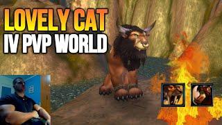Friendly Cat on Warmane pvp grounds  - Feral Druid PvP Wotlk