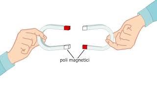 Magneti naturali e artificiali