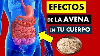  AVENA | INCREIBLES BENEFICIOS para TU SALUD | QUÉ PASA CUANDO CONSUMES AVENA TODOS LOS DÍAS