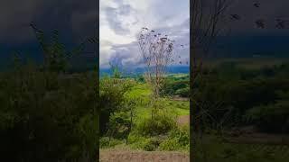 SUASANA KEINDAHAN DI ATAS BUKIT PEDESAAN#shortsvideo #pedesaansunda #vandraklana #kampungindah