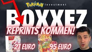 Pokemon Investment - REPRINTS bestätigt! DIESE Pokemon 151 Produkte kommen in Q4 auf den Markt!