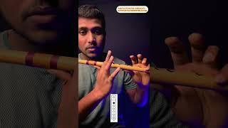 How To Play Sargam On Flute | बांसुरी पर सरगम कैसे बजाये | Beginners Flute Lesson 3 | #flutetutorial