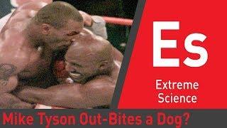 Can Mike Tyson Out-Bite an Attack Dog? | Sport Science