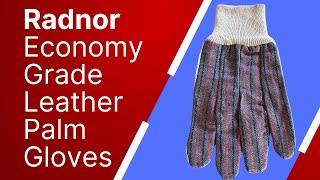 Radnor Econcomy Split Leather Glove