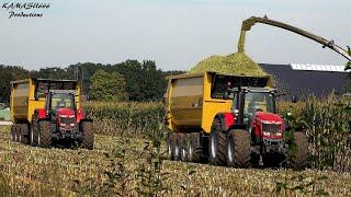 Mais 2019 : Van Bakel / USA / Massey Ferguson / Claas Jaguar 970 / Big harvest / Mais ernte