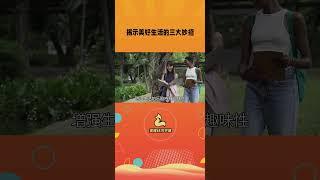 揭示美好生活的三种道路