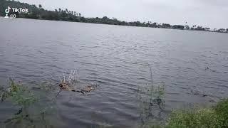 Veeraganur grand lake.         AGR creation