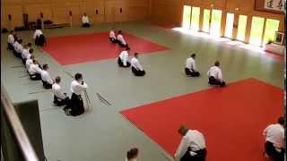 Aikido Danprüfung Budokan Wels 2014 1. Dan
