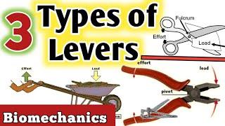 3 Types of levers/biomechanics / first class lever/second class lever/3rd class lever.