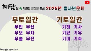 2025년 을사년 일간별운세 (무토일간/ 기토일간) 혜담멘토링HOWS