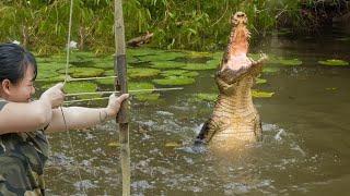 Full video: Wild Deer Hunting Skills, Dig a Large Trap Hole, Catch Wild Boar and Eat Crocodile Meat
