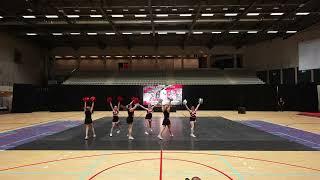 Wild Tigers Jole Dance Academy JUNIOR POM