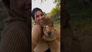 На ваш счет зачислено 266 дней. Проживи их в наслаждении, честности с собой и любви️ @puhango инст)