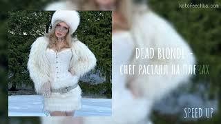 °dead blonde - снег растаял на плечах | speed up/tik tok remix 