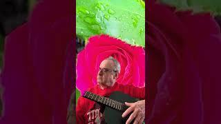 The Rose by Bette Midler cover by My Geezer Guitar Journey #bettemidler #rhythmguitar