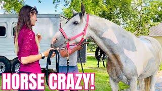 Action Packed Horse Camp With My Students! Riding, Grooming, & Fun