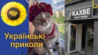 Українські приколи. Відео меми, гумор, жарти. Ukrainian TIK TOK  1.96