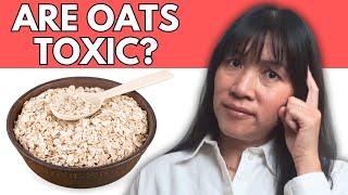 5 Reasons You Might Want to Think Twice Before Eating Oatmeal  Dr  Yvonne Burkart