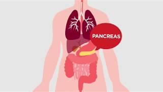 What is cystic fibrosis?