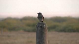 Tutored by the Land: A Writing and Photography Workshop with Stephen Trimble