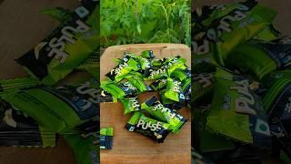 Pulse Candy Mojito! #shorts