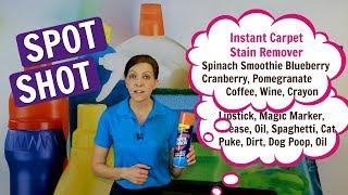 How to Get Blueberry Stains Out of Carpet - Spot Shot Product Review