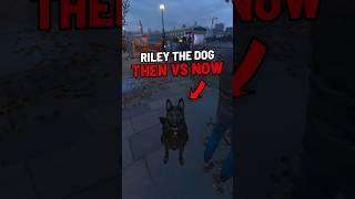 Riley The Dog in Cod Then vs Now 2013-2023