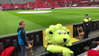 Bundesliga, Bayer 04 Leverkusen, Brian the Lion