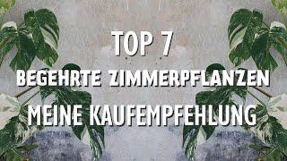 7 begehrte Zimmerpflanzen und ob du sie kaufen solltest - meine ehrliche Einschätzung!