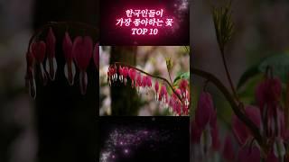 한국인들이 가장 좋아하는 꽃 Top10 #꽃 #flowers