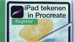 iPad tekenen in Procreate - Beginner Boek