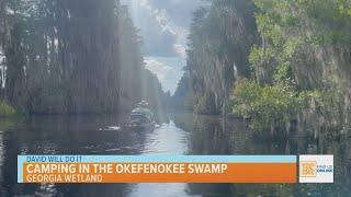 David Will Do It: Camping in the Okefenokee Swamp