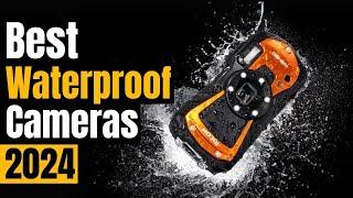 Best Waterproof Cameras 2024 for Underwater Photography [Dive Deep]