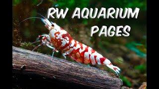 RW Aquarium Pages Introduction