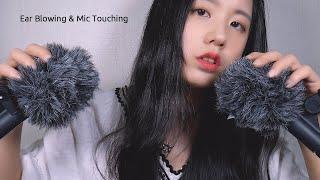 ASMR Ear Blowing & Fluffy Mic Touching, Scratching | No Breath Sound| Brain Massage 5 Hr(No Talking)