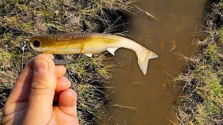 This has NEVER Happened While Fishing!! Chasing Monsters in the Marsh