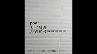 이젠샤워기까지 반무새야 #shorts