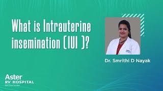 What is Intrauterine insemination (IUI )? - Top Pregnancy Doctor in Bangalore | Dr Smrithi D Nayak