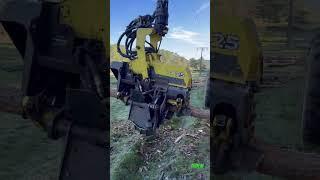 “Harvester Transformer:The Ultímate Machine in Action” #lumberjack #forest #johndeere #wood #tree