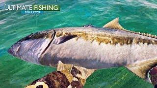 Ultimate Fishing Simulator - Bass and Amberjack Finally!