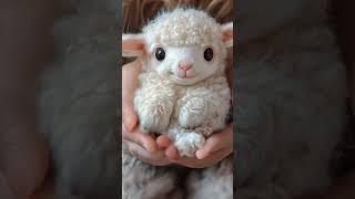 Cute tiny sheep! #tiny #cute #animals #sheep