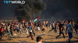 World Bank says Gaza economy in 'free fall' | Money Talks