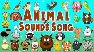 Animal Sounds Song | Animal Songs for Kids | LittleKidsTV