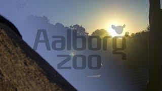 Aalborg Zoo - Zoofoni