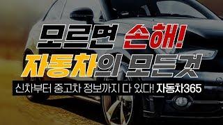 온통[자동차]쉽고 빠른 자동차 정보, Car 365