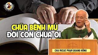 Chữa bệnh mù con Chúa ơi  Bài giảng Cha Phạm Quang Hồng Thứ Năm Tuần 8 TN Năm B 30/5/24