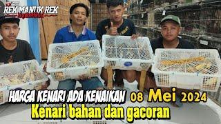 HARGA KENARI ADA KENAIKAN !!! Kenari bahan dan gacoran